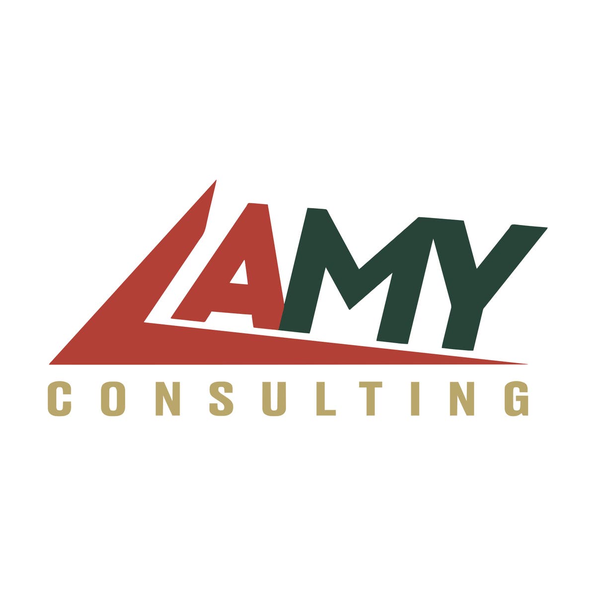 Lamy Consulting Llc