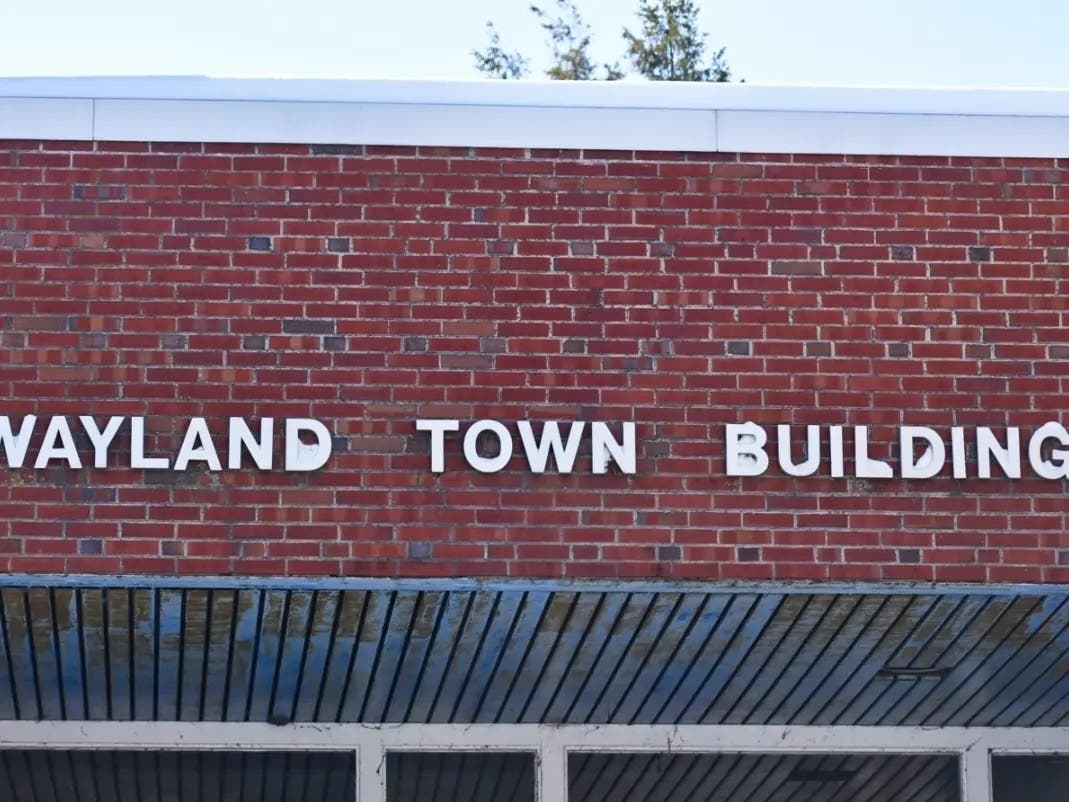 Unofficial results are in for Wayland's 2026 Annual Town Election, featuring 10 races.