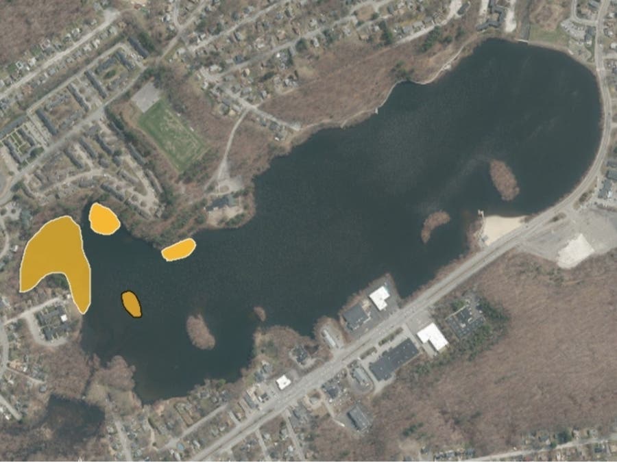 The northern section of Coes Reservoir will be treated on Thursday as part of an effort to control an invasive aquatic plant.