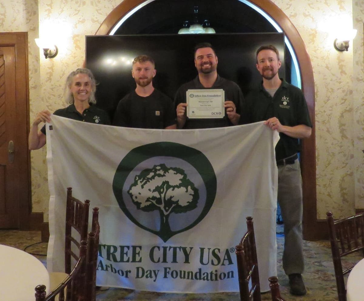 Westborough was named a Tree City USA community for the 17th consecutive year on June 16.
