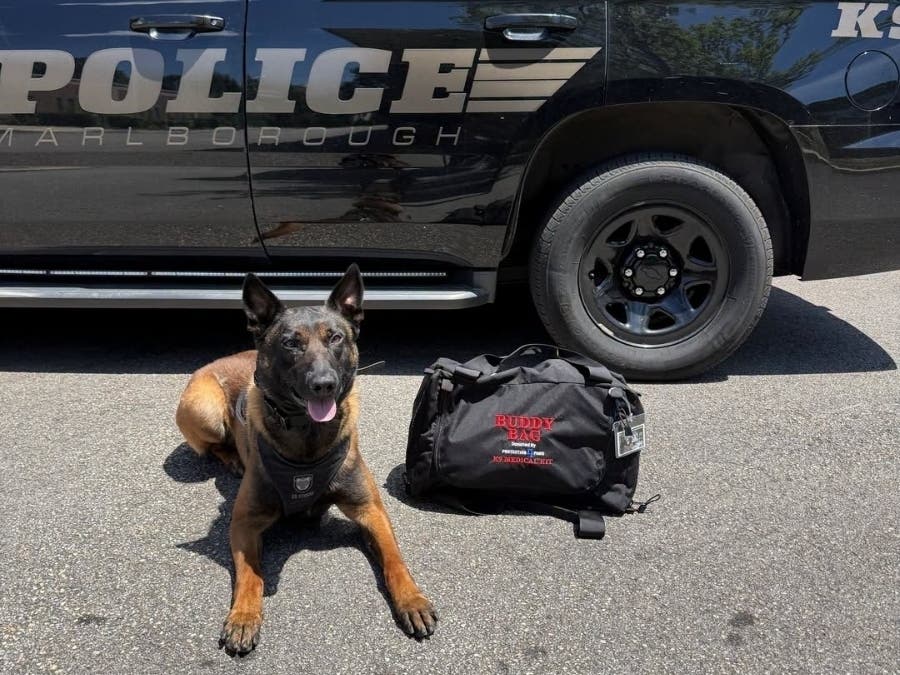 Two-year-old K-9 Enzo received a medical bag with lifesaving equipment Thursday from Protection4Paws, the Marlborough Police Department said.