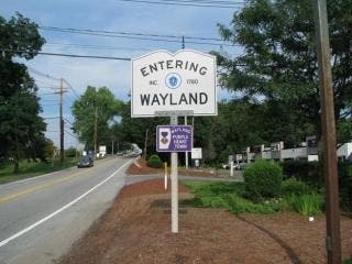 Wayland will host the final events of its Tracing Liberty: History Talks and Nature Walks series this month.