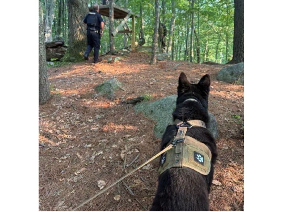 A Milford police K-9 helped locate a person in distress Thursday after the person fled into a wooded area, police said.