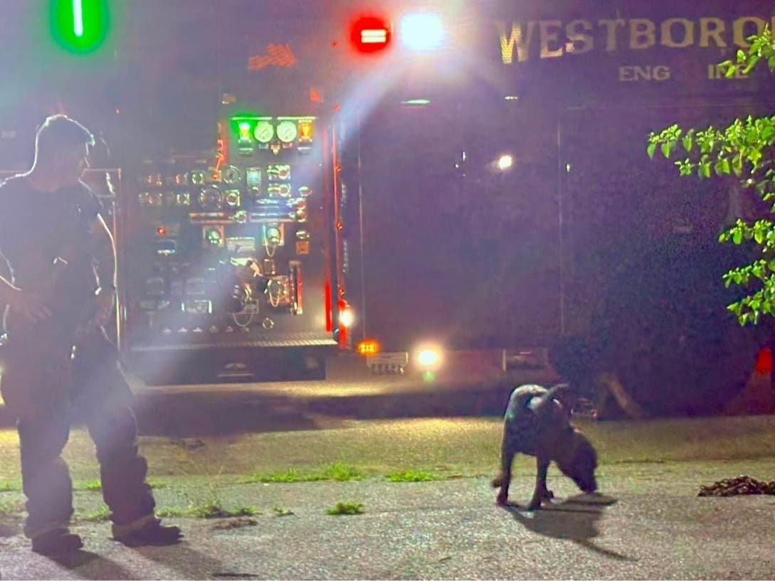 Authorities are investigating another overnight fire in the Cottage and Brigham streets area in Westborough after crews responded to the neighborhood.