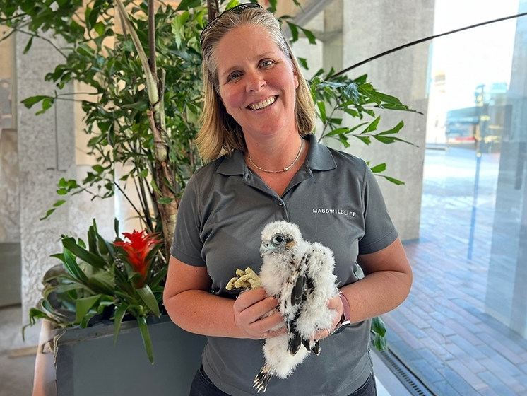 Dr. Everose “Eve” Schlüter has been appointed the first woman to lead the Massachusetts Division of Fisheries and Wildlife.
