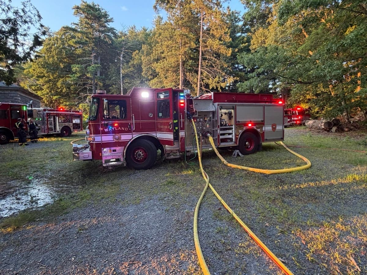 Firefighters contained a brush fire near Lake Cochituate after flames spread into surrounding trees, according to the Wayland Fire Department.