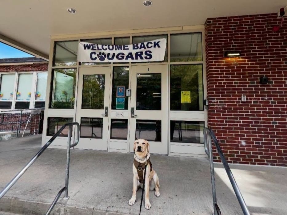 The community resource dog officially graduated from a program with Professional Canine Services, the Sharon Police Department announced Monday.