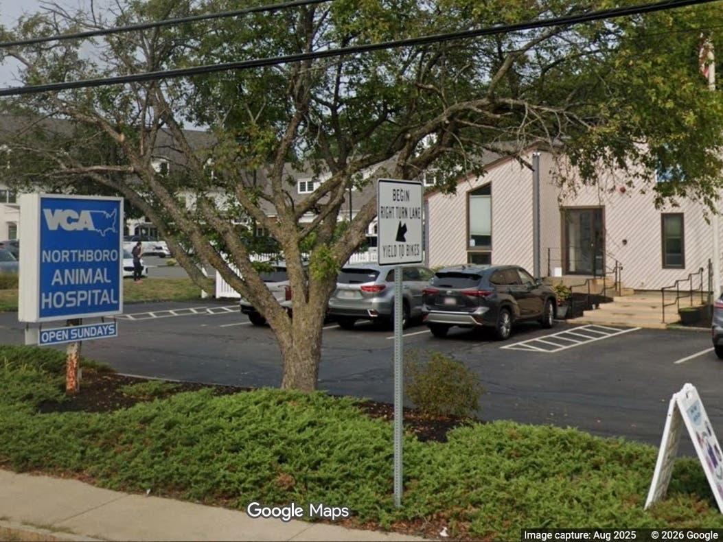 Dr. Julie Bailey has been named medical director at VCA Northboro Animal Hospital as Dr. Kathy Scandura steps down after more than 25 years in the position, the hospital announced Wednesday.