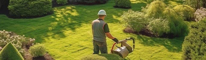 Tino Landscaping LLC
