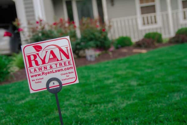 Ryan Lawn & Tree 