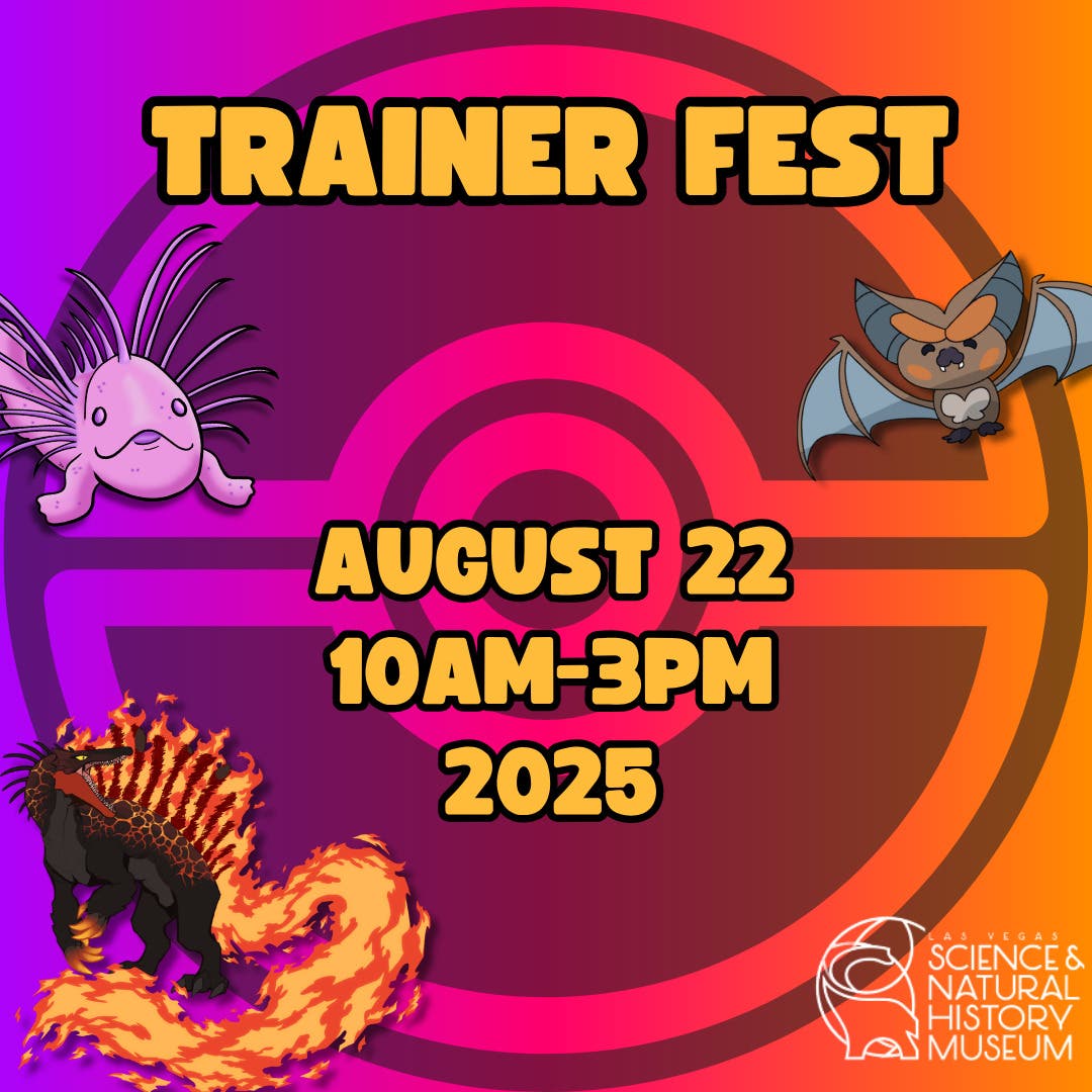 Trainer Fest