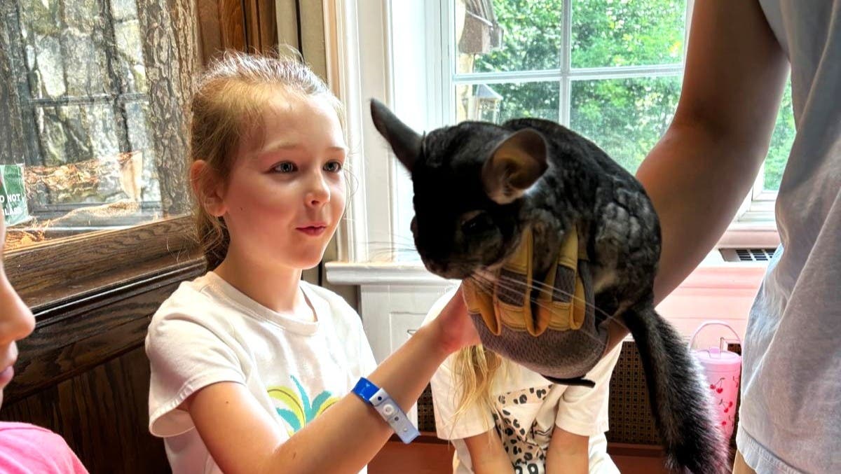 Day Camp at the Nature Center!