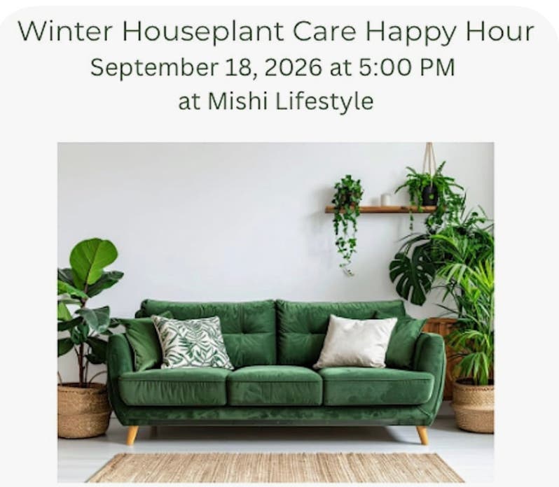 Winter Houseplant Care Happy Hour