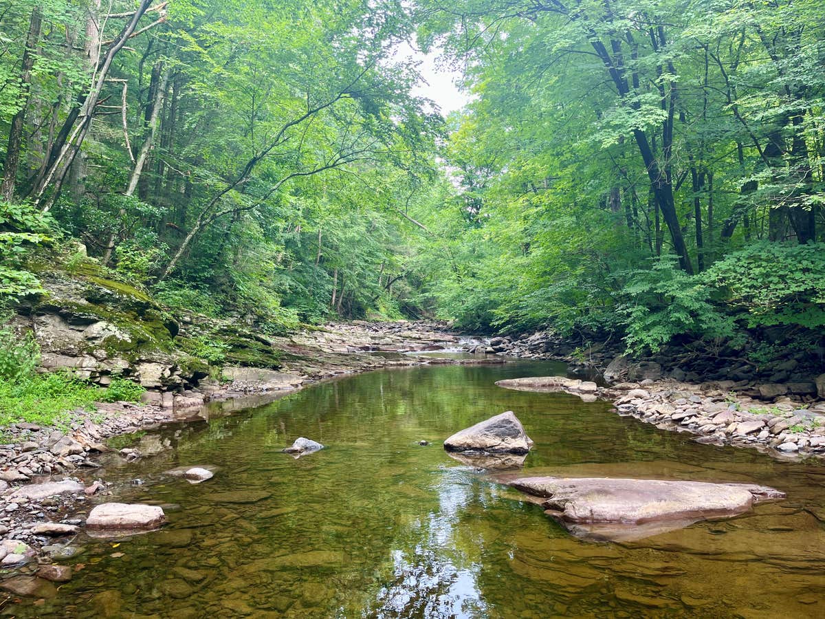 Hunterdon Land Trust