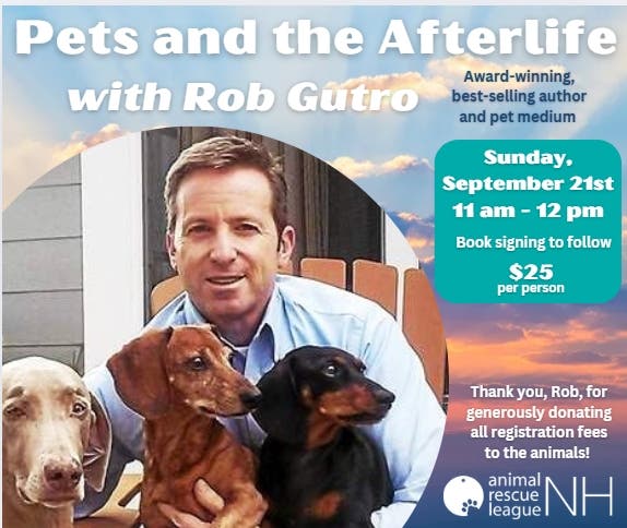 Pets and the Afterlife