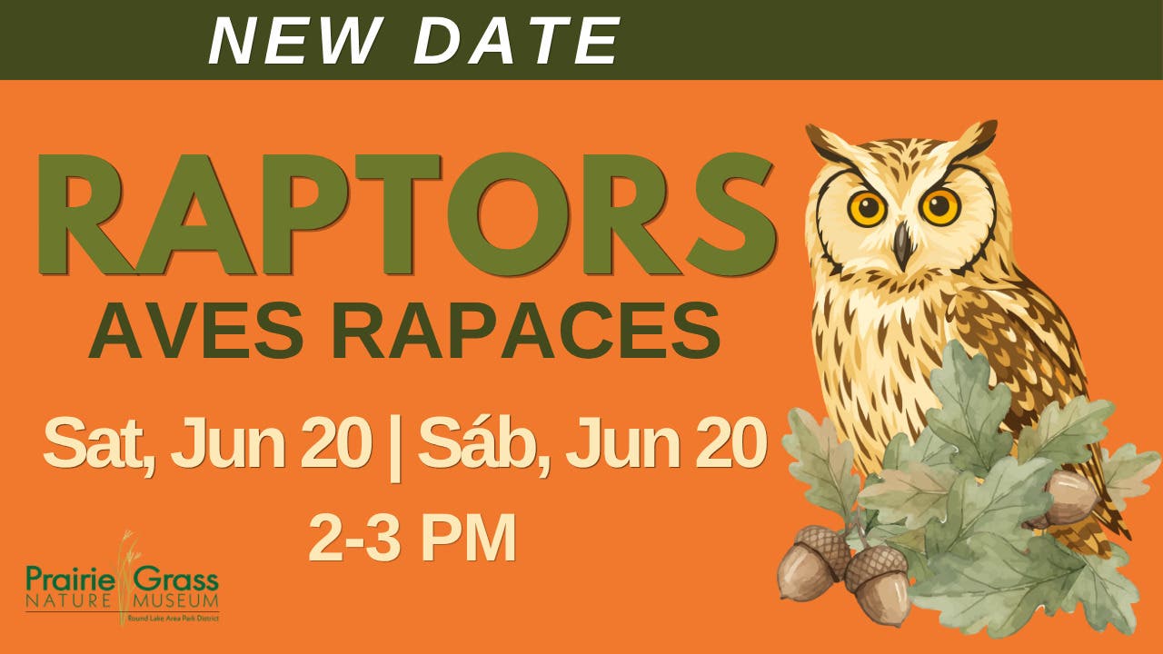 Raptors