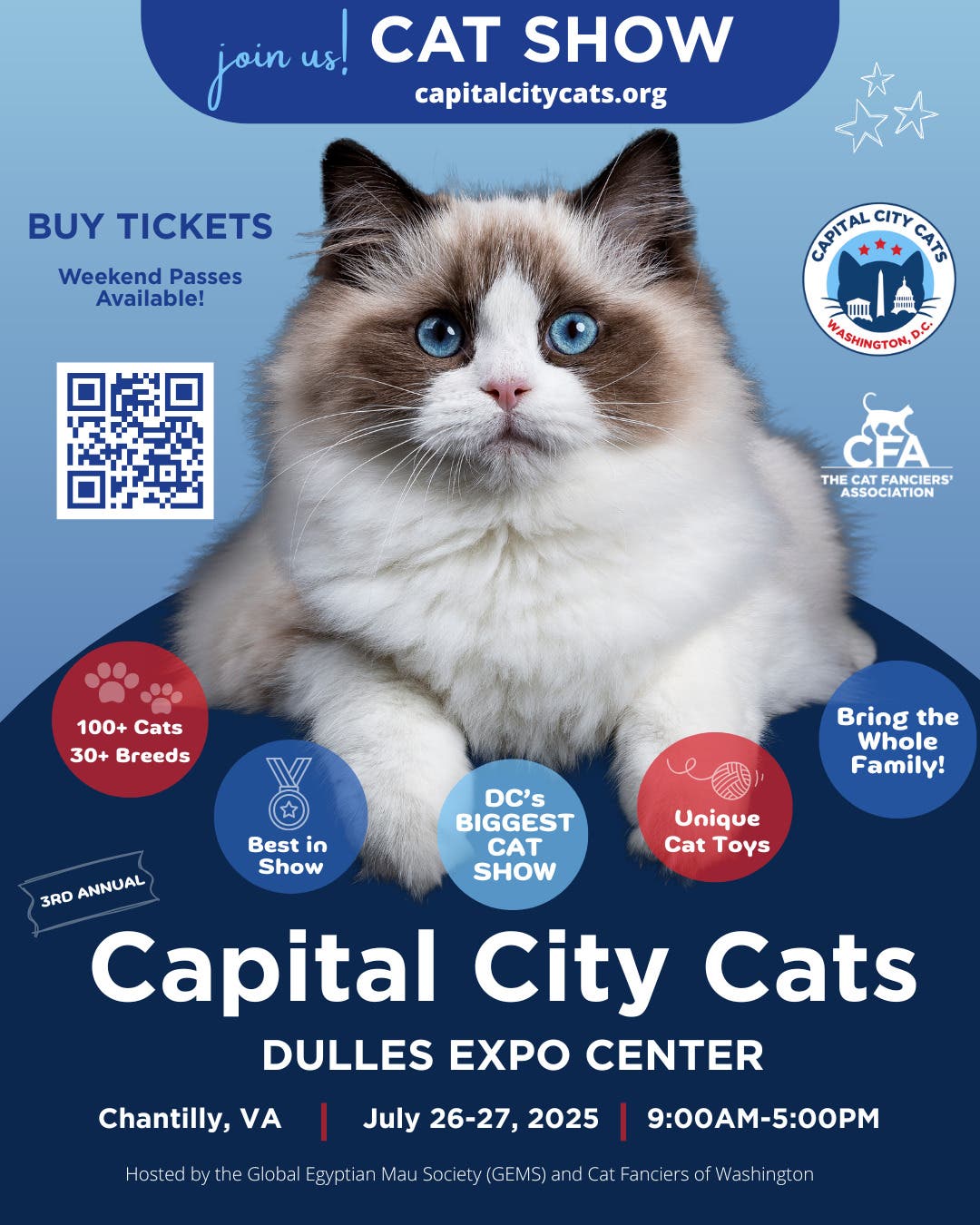 Capital City Cats 2025