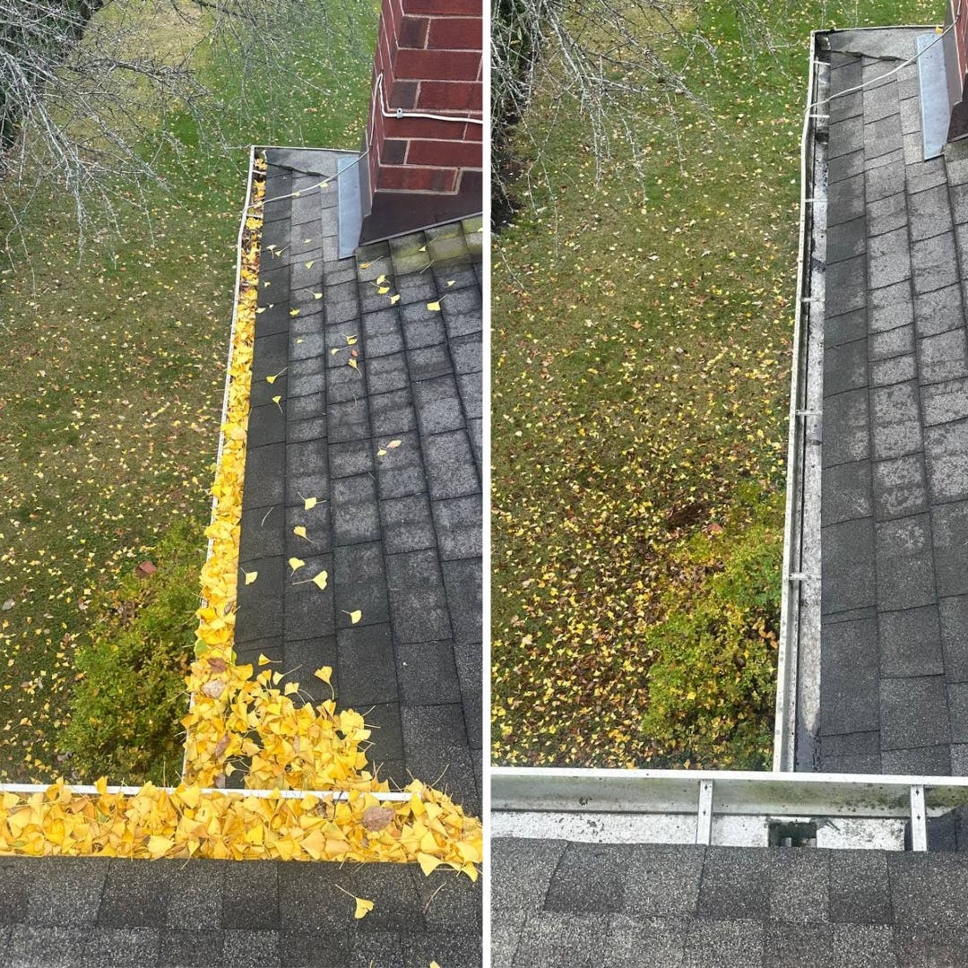 Fall Gutter Clean-Out in Glenview, IL & North Shore – Before & After Photos Included