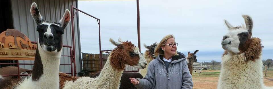 Leslie Lane Llama Farm