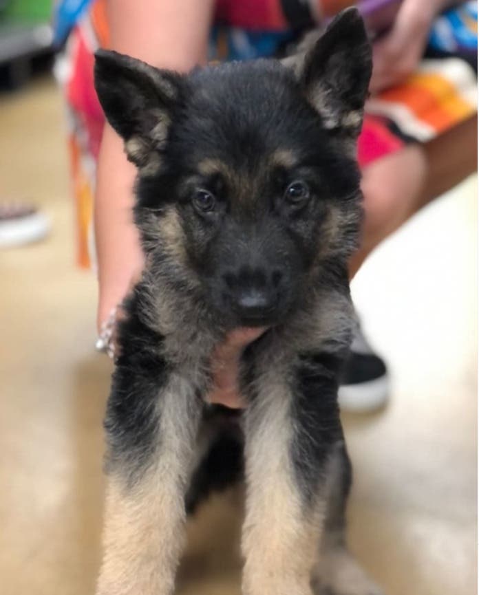 Pet Supplies Plus Opens New Community-Focused Store in Glenarden