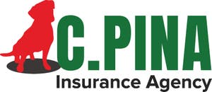 C. Pina Insurance Agency, Inc.