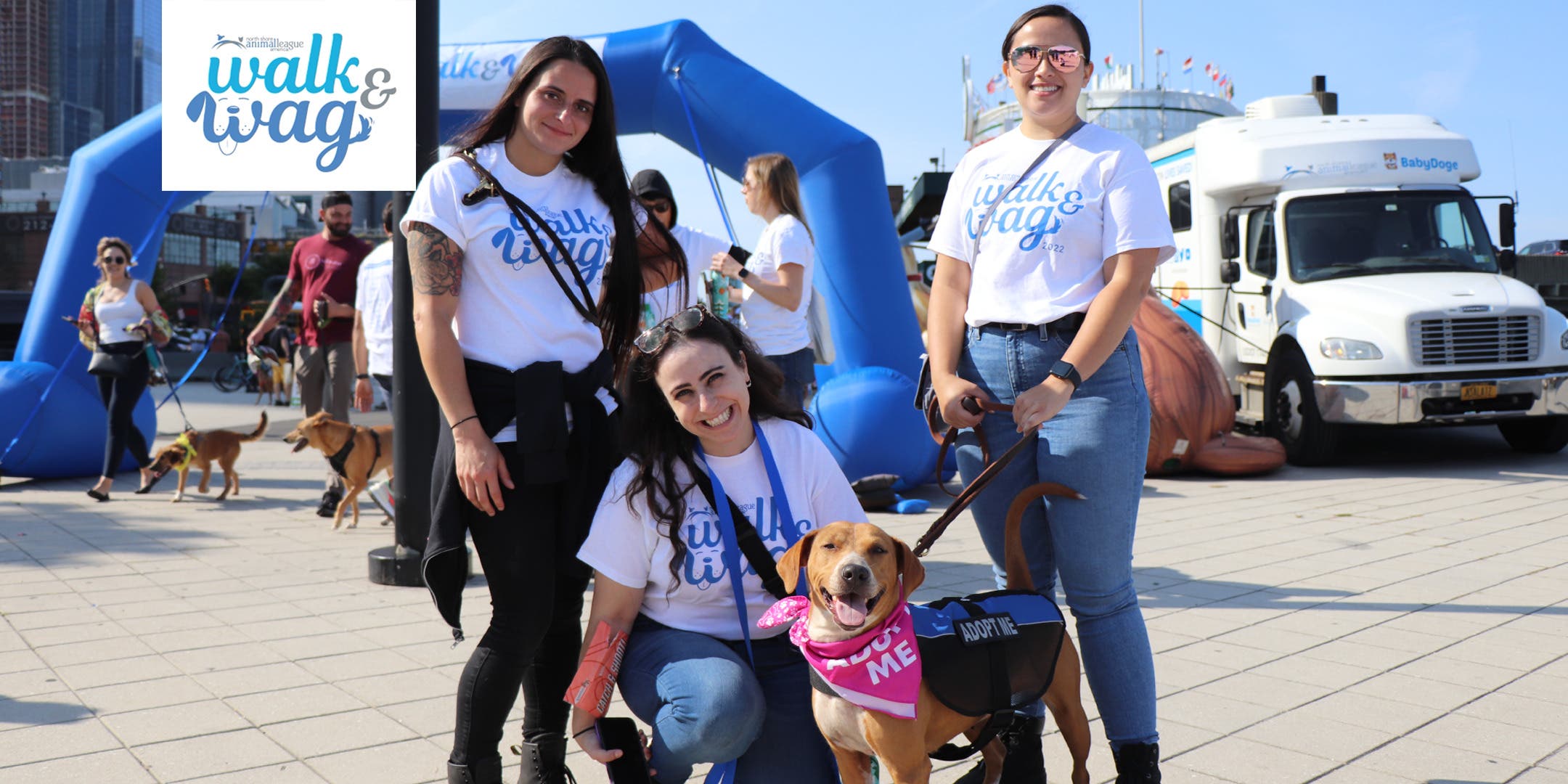 Oct 19 | North Shore Animal League America - Walk and Wag | Manhasset ...