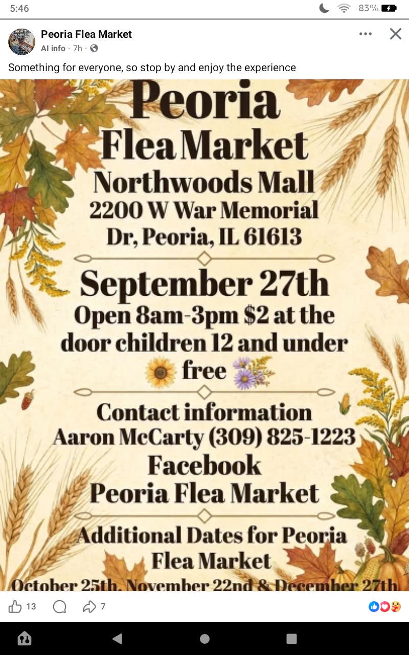 Peoria Flea Market--Northwoods Mall