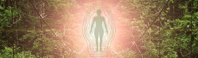 Tealonics Holistic Wellness Coaching