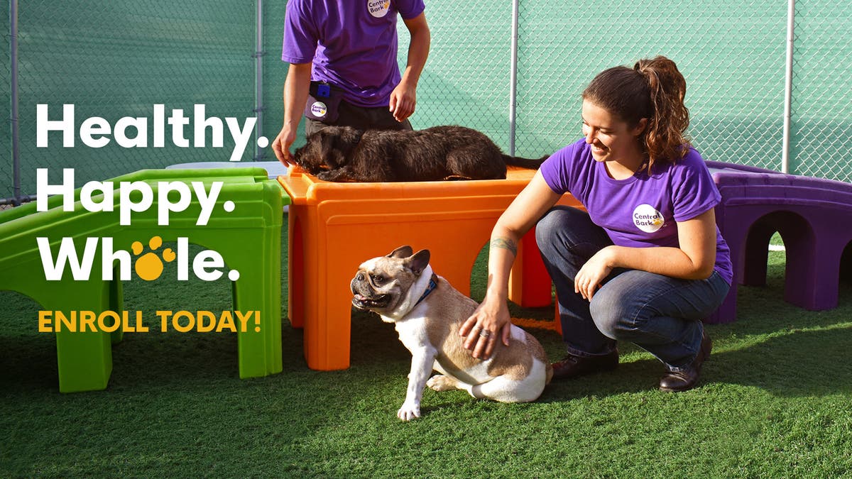 Central Bark Atlanta