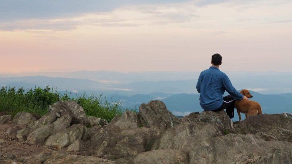 Hyperfixation vs Addiction | Friendly Recovery