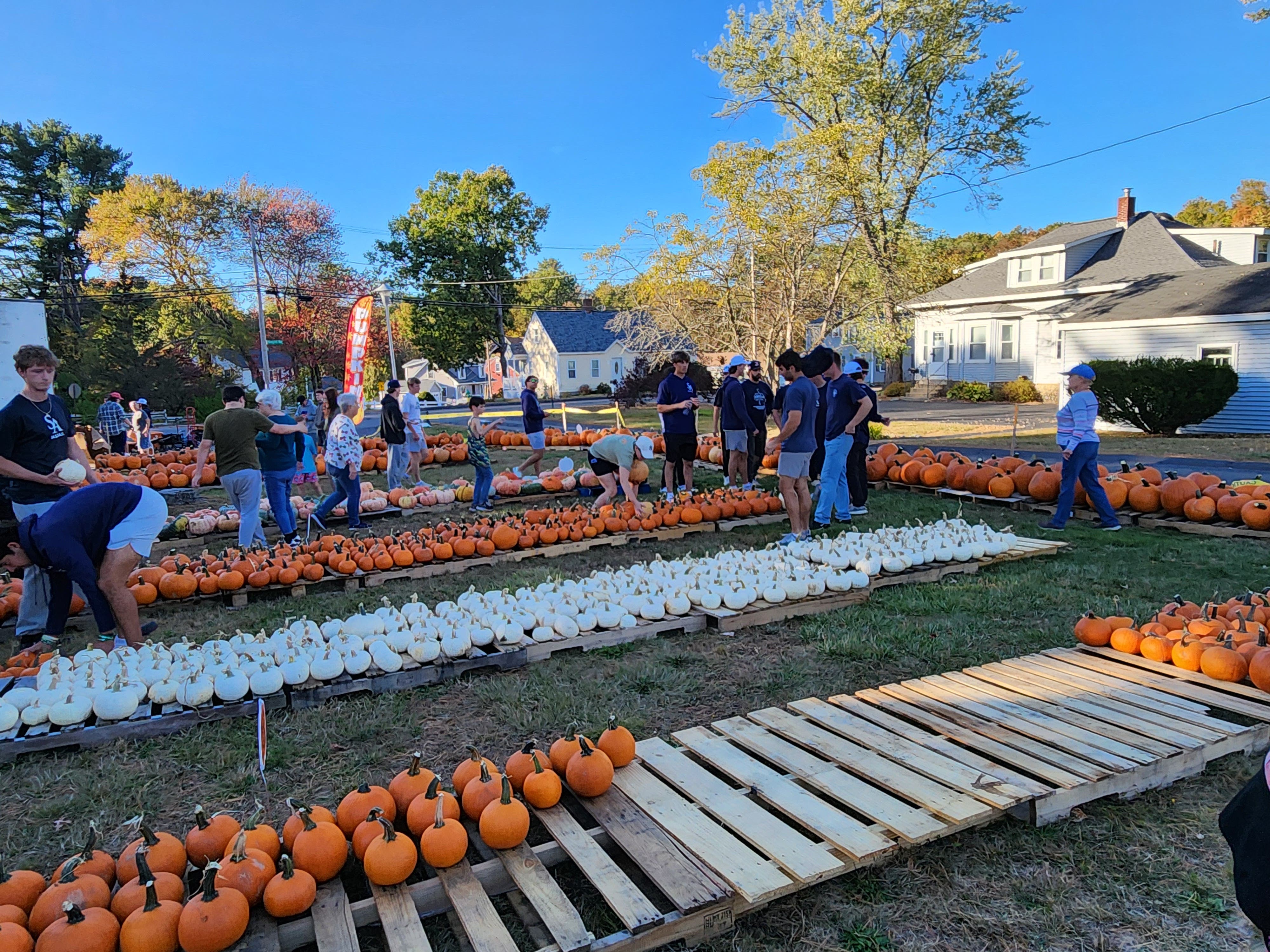 Pumpkin Festival at Pumpkin Patch