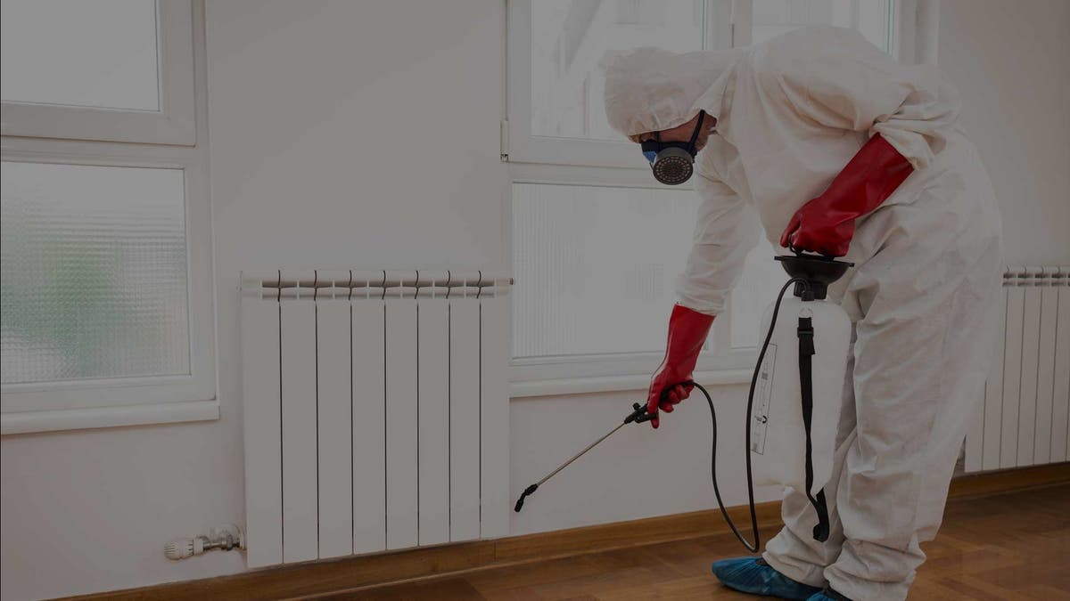 The Monroe Pest Control Team
