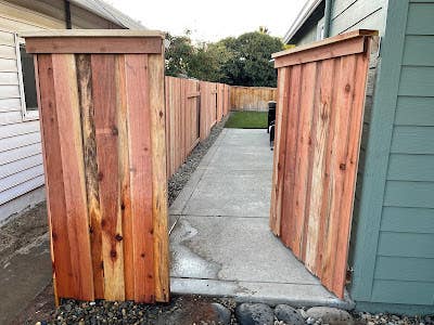 Froggy Fence