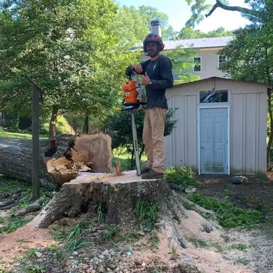 J's Woodpecker Tree Service