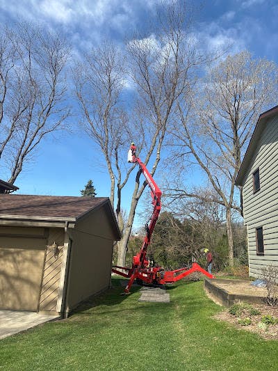 Why Mequon Homeowners Are Turning to Tree & Snow Removal Services for Safe Tree Care