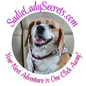 sadieladysecrets.com