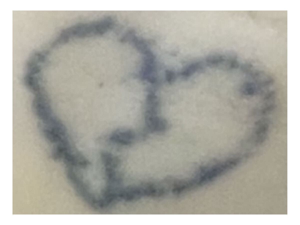 Contra Costa authorities investigating a fatal train strike are asking for help identifying an unknown woman who was killed on the tracks. She bore a tattoo (above) on her inner left wrist. 