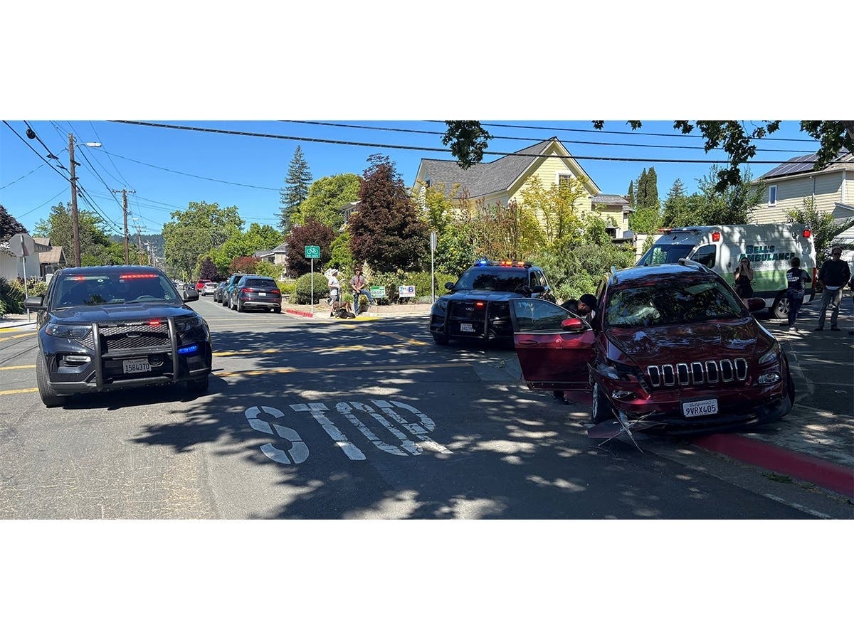 Windsor driver led police on a pursuit through Healdsburg until being tackled by senior league baseball players.
