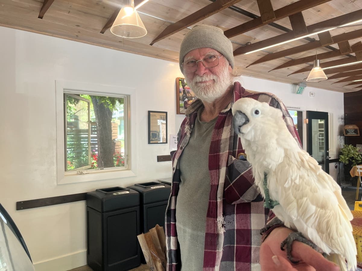 Cockatoos And Croissants At Glen Ellen Bakery: Photo Of The Day
