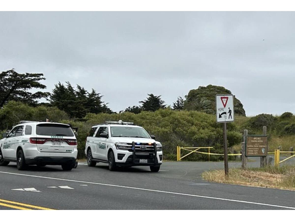Sonoma County deputies found a Vallejo suspect after an alert, then witnessed a fatal self-inflicted shooting near Highway 1 coastal access area. 