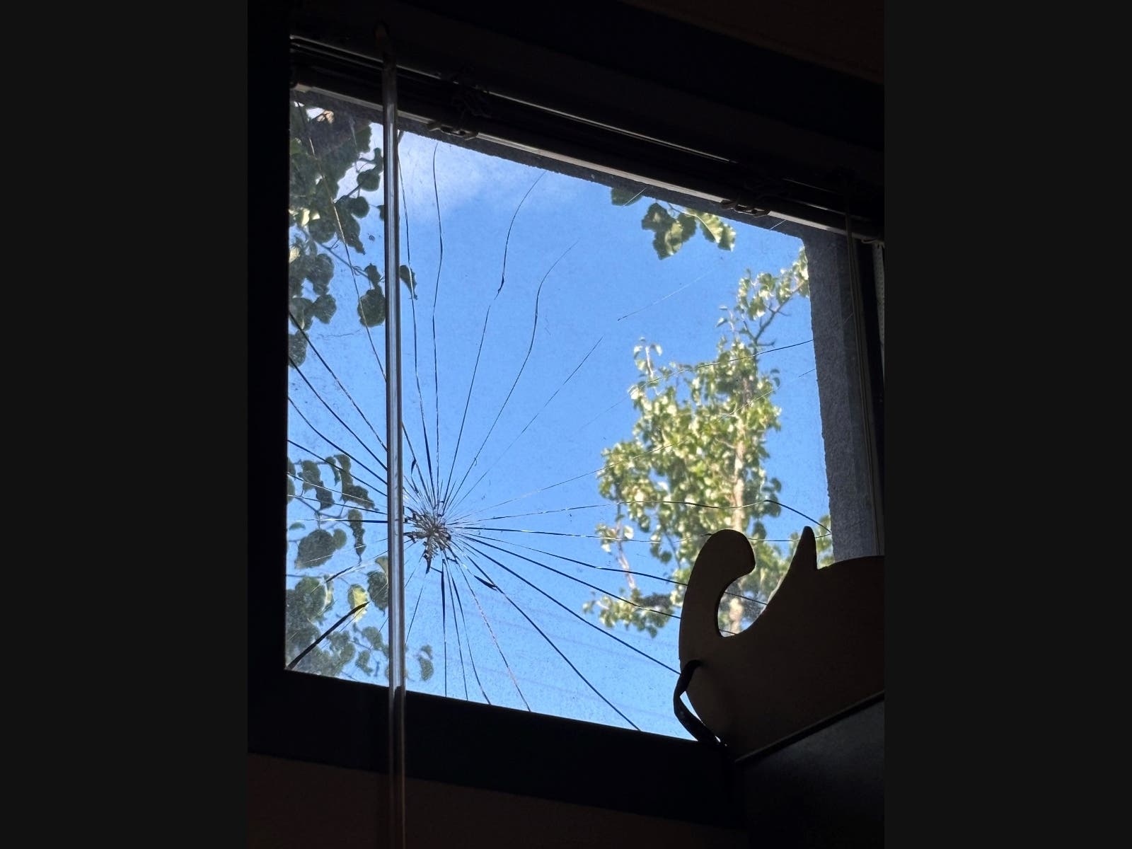A teen alleged by police of throwing a rock inside the Healdsburg Police Department faces his 11th arrest.
