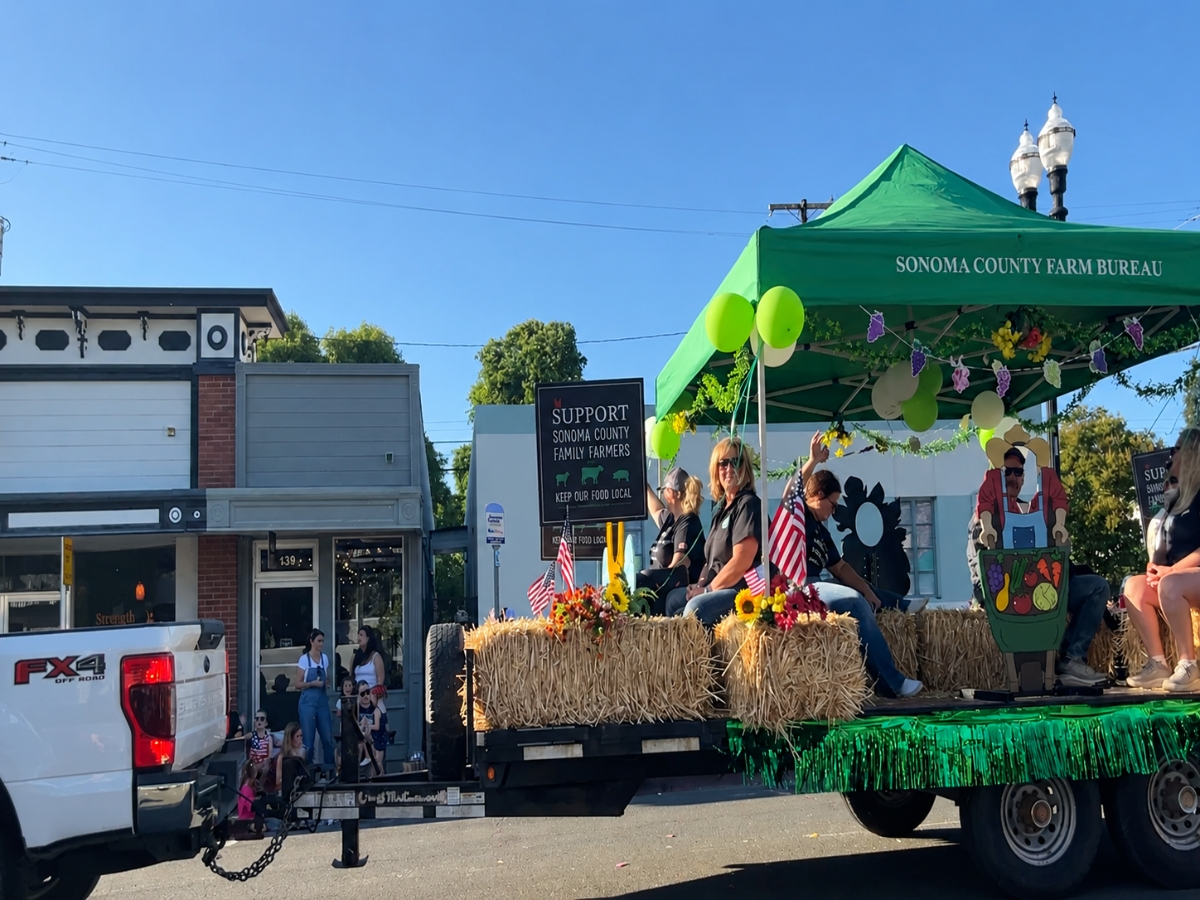 Healdsburg's past is celebrate during events like Healdsburg Future Farmers Parade (above). Free summer talks explore how the town evolved into a tourist destination through local memories, historic milestones, and the decisions that reshaped the city. 
