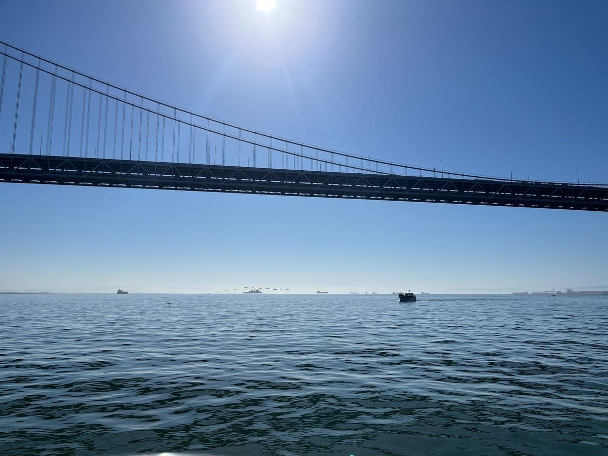 Chevron reported a hydrocarbon spill on Wednesday that reached the San Francisco Bay.