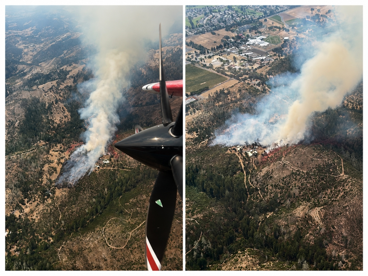 Firefighters stopped the Ledson Fire from advancing overnight, but crews continue mop-up work in rugged terrain near the Sonoma-Napa county line.