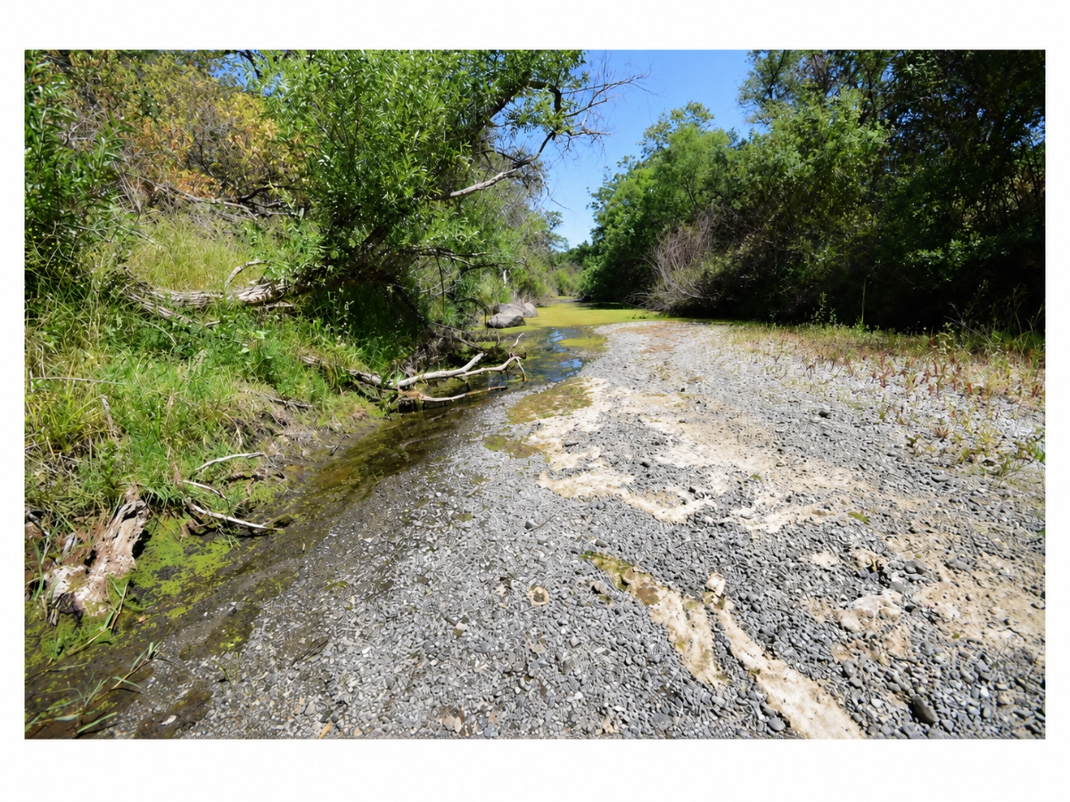 A fight over one winery has grown into a broader challenge over Napa County's development policies. A photograph of the Napa River near Pope Street wells, June 2021, is used to illustrate the argument over water access in a Water Audit California lawsuit.