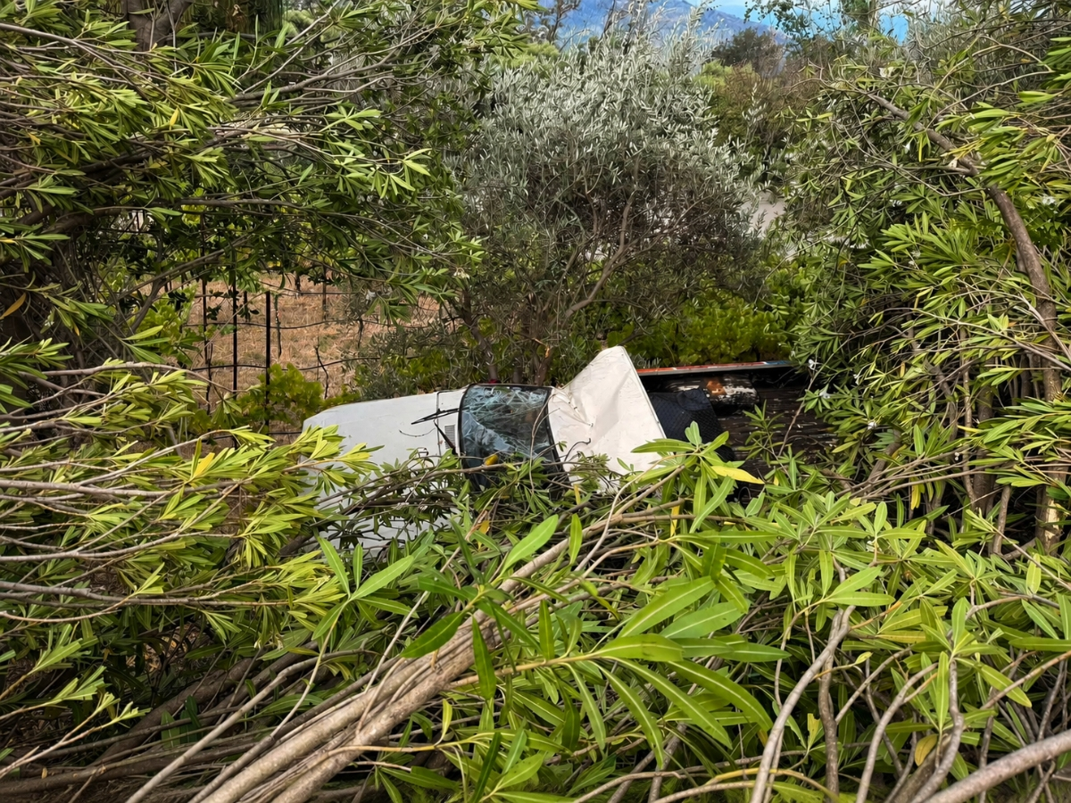 Hidden beneath thick brush, the wrecked vehicle required firefighters to carve a path before it could be reached and removed.