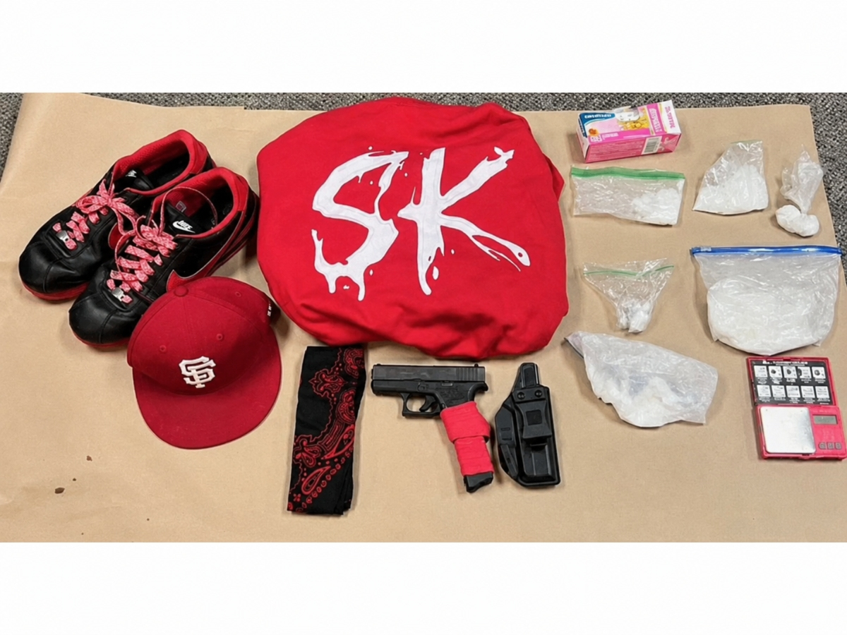 Two unrelated investigations in Sonoma County removed pounds of suspected narcotics and multiple firearms from the streets within a week.