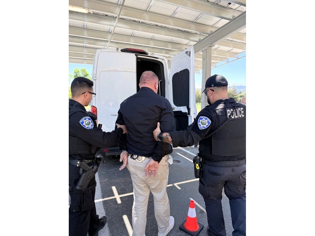 Investigators say they arrested five men suspected of trying to arrange sex with children 