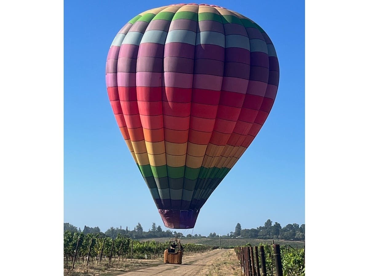 Today's Westside Road traffic jam had a distinctly Healdsburg twist. A wedged semi blocked the road, dozens of trucks lined up, and a hot air balloon waited in a vineyard for its ground crew to arrive.