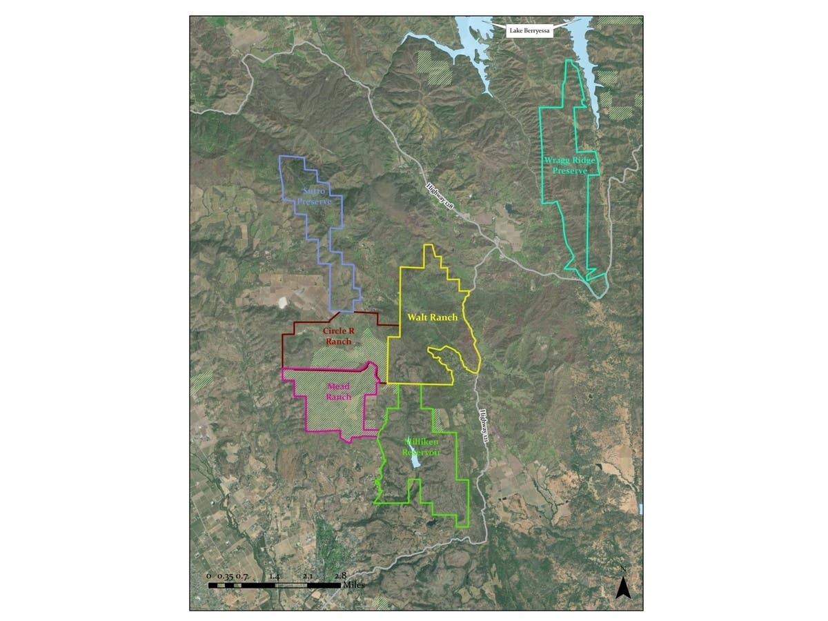 After years of courtroom battles and development fights, the former Walt Ranch is becoming a public preserve where black bears, mountain lions, and hikers will eventually share the landscape.